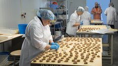 В Татарстане поддержат начинающие сельскохозяйственные потребительские кооперативы