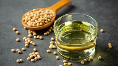 На Дальнем Востоке есть потенциал увеличения экспорта продукции переработки сои