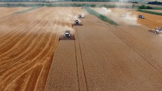 В 51 регионе планируют увеличить посевные площади на 5 млн га к 2030 году