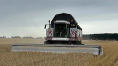 Еще три округа приступили к уборке озимой пшеницы в Липецкой области