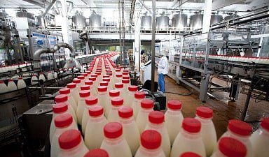 Объём реализации молока в сельхозорганизациях вырос на 3,8%