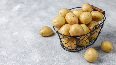 В Калининградской области идет уборка овощей и картофеля