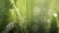 Минсельхоз подвел итоги рейтинга цифровой трансформации АПК в Центральной России