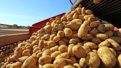 Инвестиционные проекты в АПК Красноярского края получат 627 млн господдержки