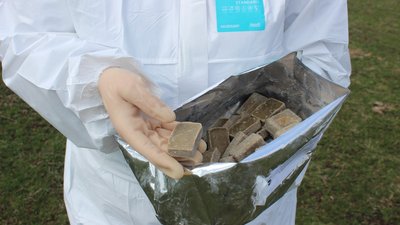 Почти полумиллиона доз вакцины против бешенства разложат в охотхозяйствах Ростовской области