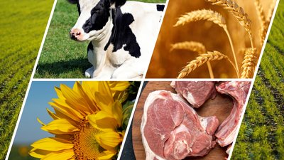 В 2023 году в Бурятии произведена продукция сельского хозяйства на 22,6 млрд руб.