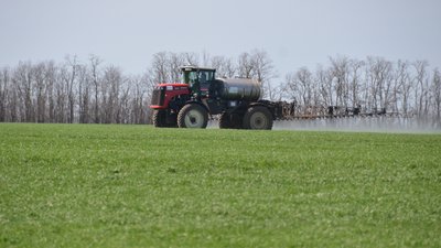 Яровыми культурами на Дону засеяно около 80% посевных площадей