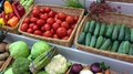 Капуста в Липецкой области за неделю подешевела на 8%, картофель — до 50 рублей за килограмм