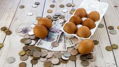 Минсельхоз сообщил о стабилизации цен на яйца после длительного снижения