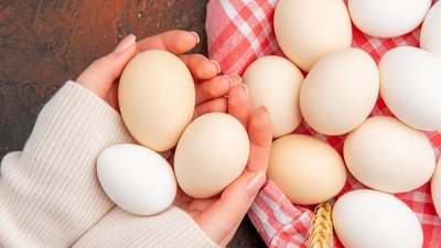 В Приморье выросло поголовье птиц и производство яиц