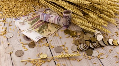 В России утверждены новые предельные цены на зерно и сахар для интервенций