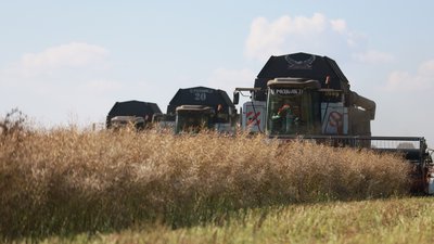 Красноярский край подтвердил статус лидера по урожайности зерна в СФО