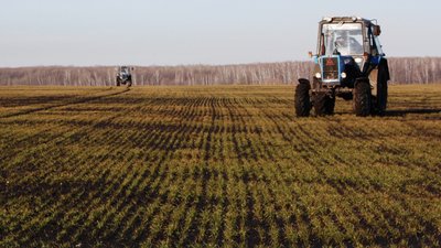 В Херсонской области стартовал сев яровых культур