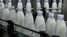 Объём реализации молока в сельхозорганизациях вырос на 6%