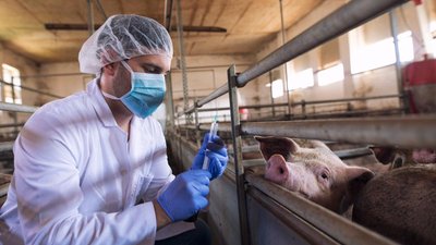 Российские производители заняли более половины внутреннего рынка ветпрепаратов