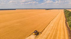 В Башкортостане собрали 3,3 млн тонн зерна с 96,4% уборочной площади