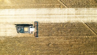 В Самарском регионе набирает обороты уборка зерновых культур