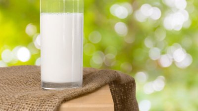 Выпуск молока в нижегородских сельхозорганизациях вырос на 5,2%