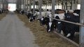 Ветераны СВО из Нижегородской области получат гранты на развитие агробизнеса