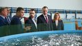 Саратовская область наращивает объемы производства форели