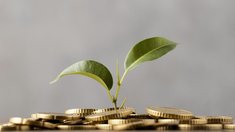 Господдержка аграриев и сел Дагестана в 2026 году составит около 3,6 млрд руб. 