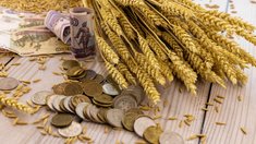 Минсельхоз считает работу с себестоимостью главной задачей для растениеводов