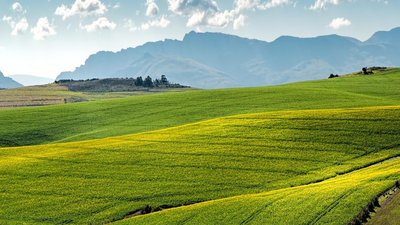 В Госдуме уточнили правила продажи изъятых сельхозземель