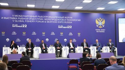 Россия диверсифицирует географию экспорта рыбы и морепродуктов