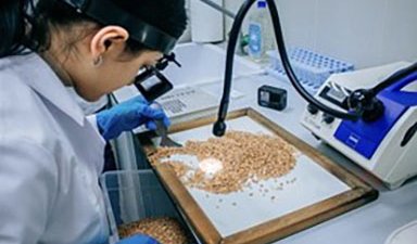 Аграрии ЛНР готовятся к старту посевной кампании