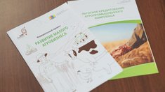 В фермерских хозяйствах Ивановской области производят почти 90% общего объема ягод в регионе