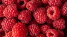 Россия выращивает почти четверть всей малины в мире — РИА «Новости»