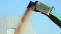 Аграриям Забайкалья направят 57 млн рублей на производство продукции растениеводства