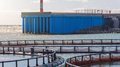 Производство продукции аквакультуры в РФ за десять лет выросло более чем вдвое