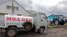 Сельхозкооперативы Красноярского края получат более 46 млн рублей за купленные у владельцев личных подворий молоко и мясо