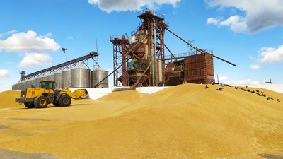 Красноярский край на 66,7% выполнил показатель в нацпроекте «Международная кооперация и экспорт»