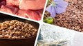 Товарооборот продукции АПК между Россией и Китаем вырос на 21%