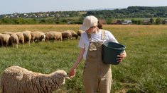 В Челябинской области поддержка малого агробизнеса вырастет на 35 млн руб.