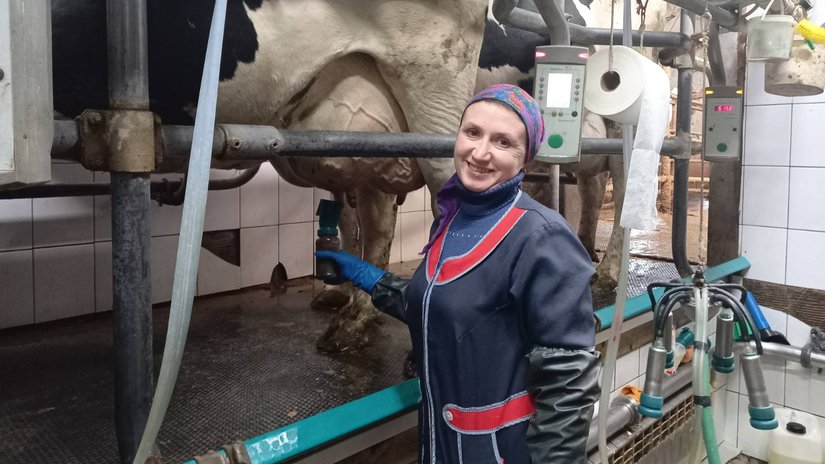 В Нижегородской области определили лучших специалистов машинного доения коров
