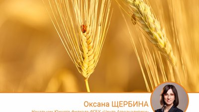 Создание зерновой биржи стран БРИКС позволит сократить геополитическое влияние на зерновой рынок России
