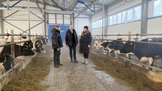 В Ивановской области ввели в эксплуатацию новую животноводческую ферму 