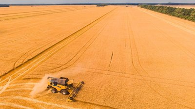 Земельный банк крупнейших компаний агросектора РФ продолжил расти
