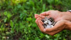 Аграрии Московской области получили около 2,8 млрд руб. господдержки в 2025 году