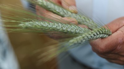 Дан старт выездным совещаниям с аграриями Кузбасса в преддверии начала весенне-полевых работ