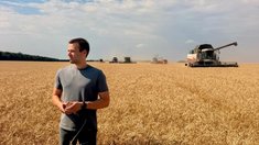Аграрии Липецкой области собрали 2,9 млн тонн зерна с 80,6% плановой площади