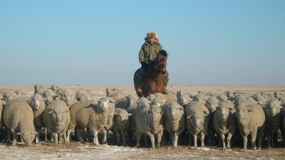 Свыше 160 рабочих мест создали в АПК Забайкалья в 2022 году