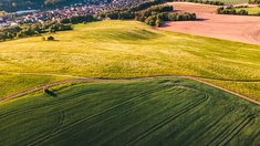 В России планируется продолжить работу по вовлечению неиспользуемых сельхозземель в оборот