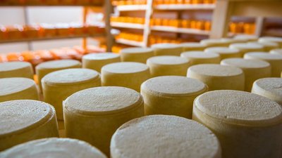 Правительство расширит поддержку экспортеров молочной продукции