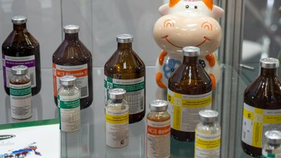 Российские производители за 2023 год зарегистрировали 81 фармпрепарат для животных