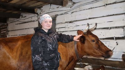 Фермеры и сельскохозяйственные кооперативы Кузбасса получат гранты на развитие