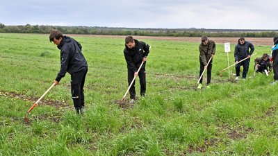 В Луганской Народной Республике студенты проходят производственную практику в полях